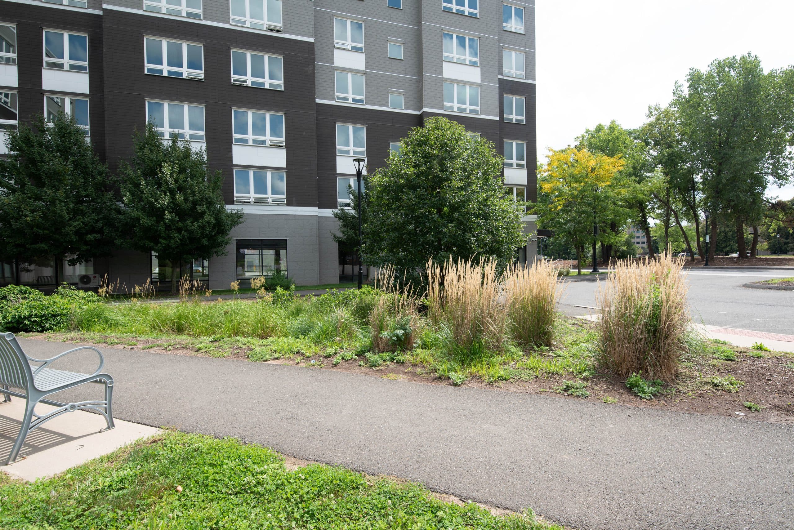 A landscaped path and bench along the side of the building